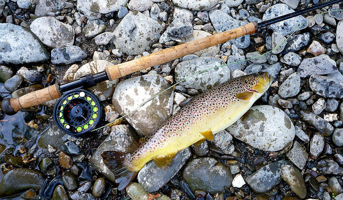 Browntrout with light double handed