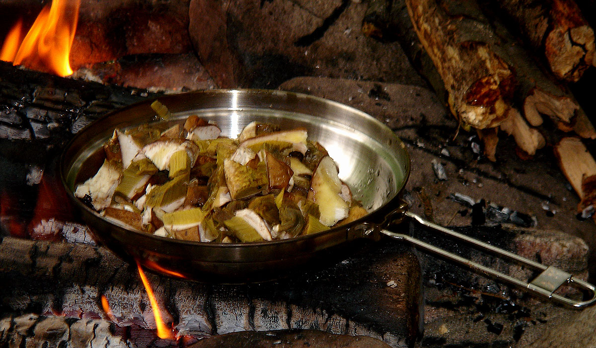 Campfire with delicious fresh mushrooms