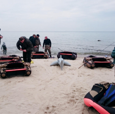 Light-Tackle-Guiding_Bellybootevent-Rügen.jpg