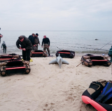 Light-Tackle-Guiding_Bellybootevent-Rügen.jpg