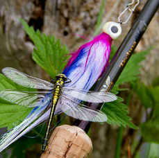 Light-Tackle-Guiding_Libellen-Streamer.jpg