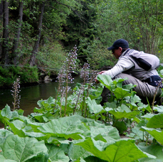 Light-Tackle-Guiding_Guerillafishing.JPG