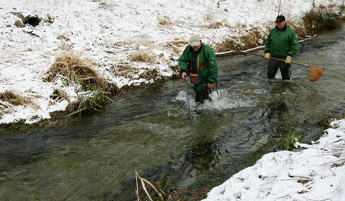 Wintertime is time for controlfishing