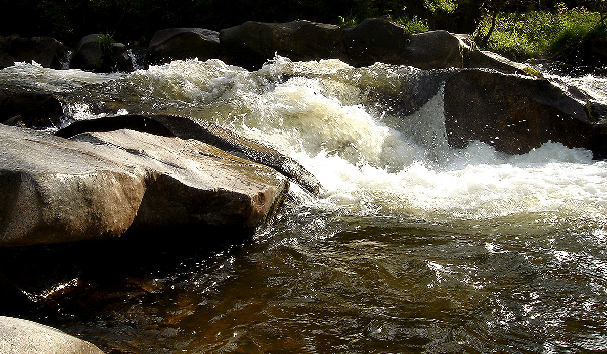 The upper stream of the river Mulde