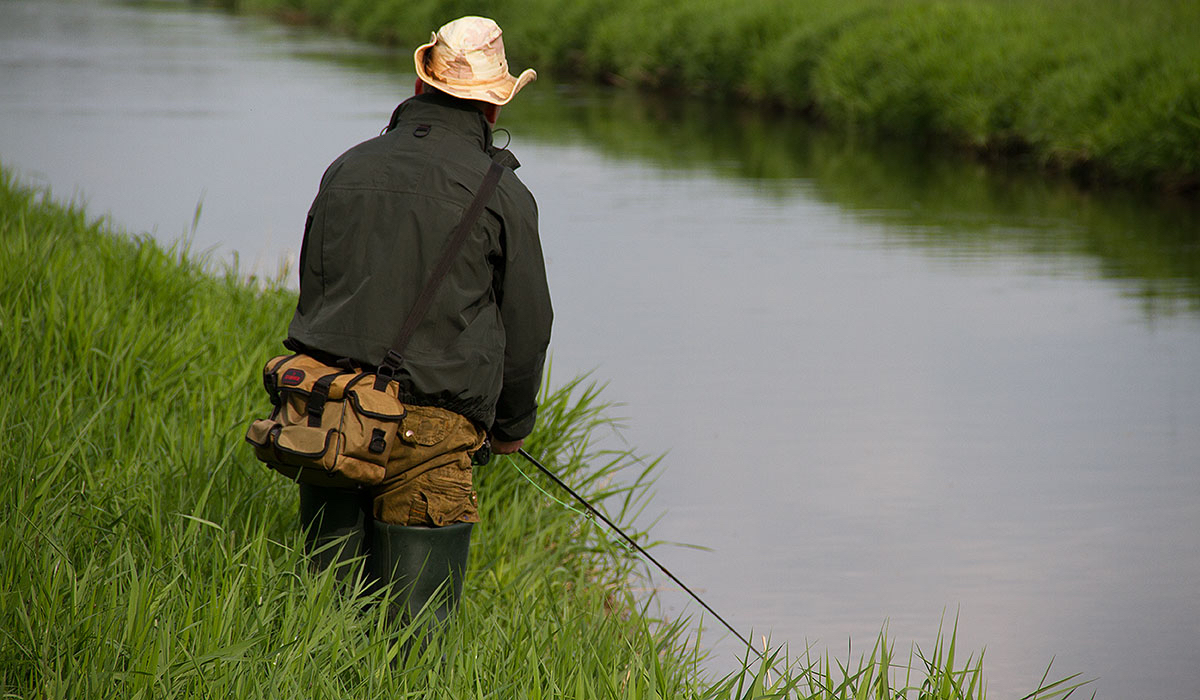 Pikestreamern for the big predators