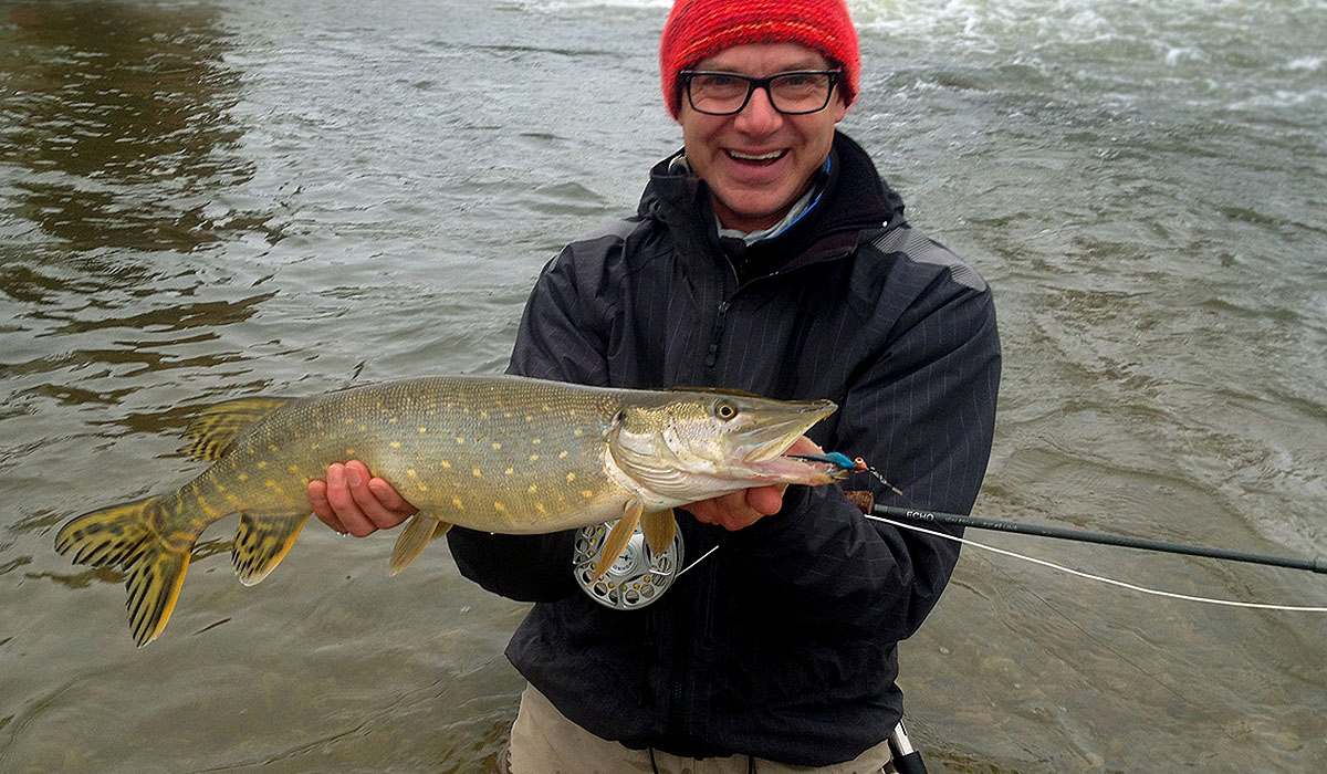A nice winter pike on special streamer