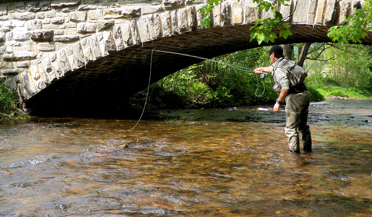 Tippfishing?