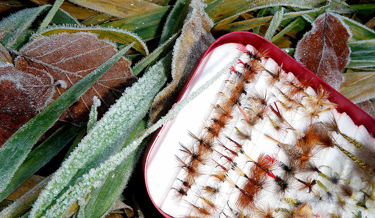 A winter selection